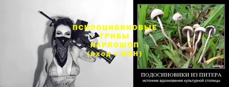 Галлюциногенные грибы MAGIC MUSHROOMS  сколько стоит  Котовск 